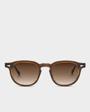 TVR504 Cappuccino Clear - Brown Gradient 50