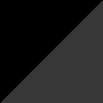 S19 Black / Grey