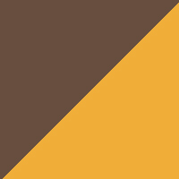 S23 Brown / Gold